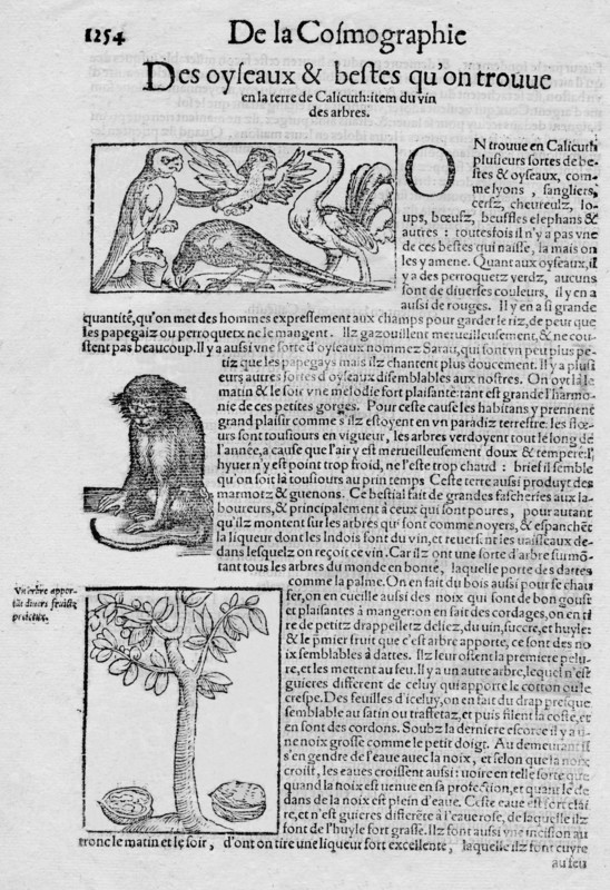 'De la Cosmographie Des oyseaux & bestes qu'on trouve en la terre de Calicuth: item du vin des arbre Artist: Unknown.