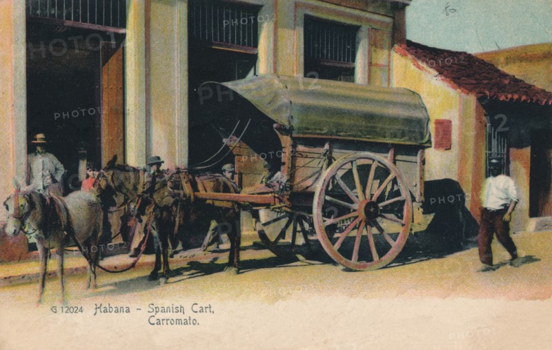 'Habana - Spanish Cart. Carromato', c1907. Artist: Unknown.