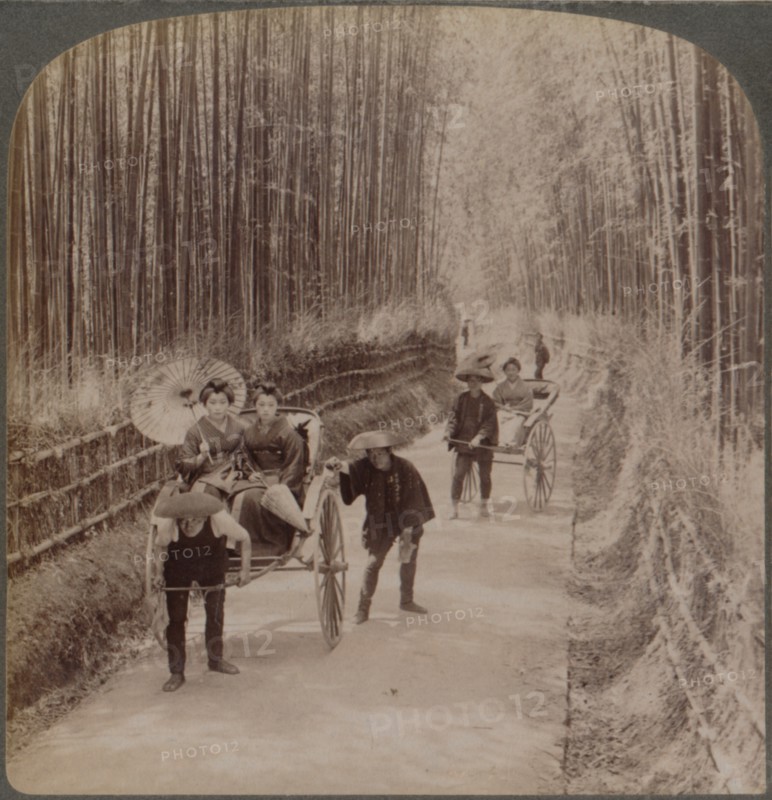 Under the bamboo trees - on the famous avenue near Kiyomizu, Kyoto, Japan, 1904. Artist: Unknown.