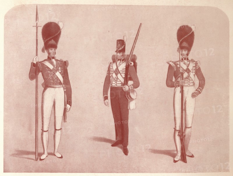 '1st or Grenadier Regiment of Guards in 1815', 1909. Artist: Unknown.