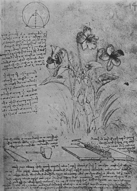 'Studies of Violas and of Methods of Soldering Lead Roofs', c1480 (1945). Artist: Leonardo da Vinci.
