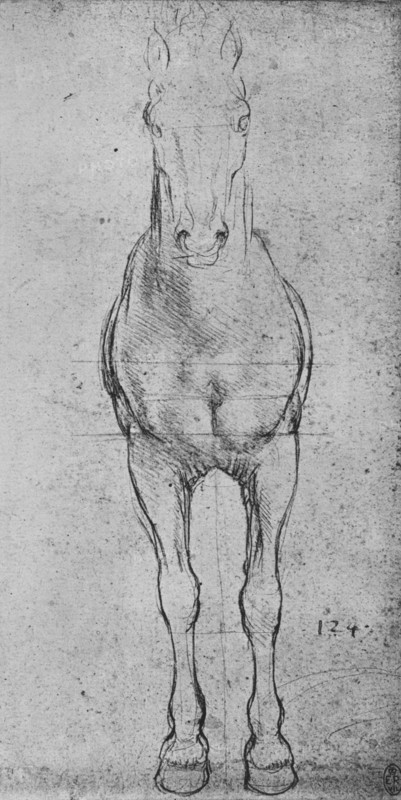 'A Horse Seen from the Front', c1480 (1945). Artist: Leonardo da Vinci.