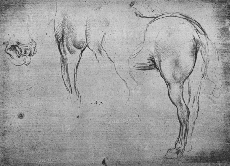 'Three Sketches of a Horse's Hind-Quarters and one of its Nostrils', c1480 (1945). Artist: Leonardo da Vinci.