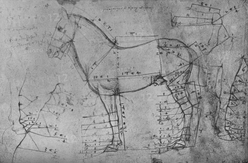 'Measured Drawing of a Horse in Profile to the Left', c1480 (1945). Artist: Leonardo da Vinci.