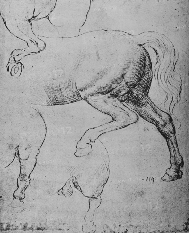 'Studies of the Hind-Quarters and of the Hind-Legs of a Horse', c1480 (1945). Artist: Leonardo da Vinci.