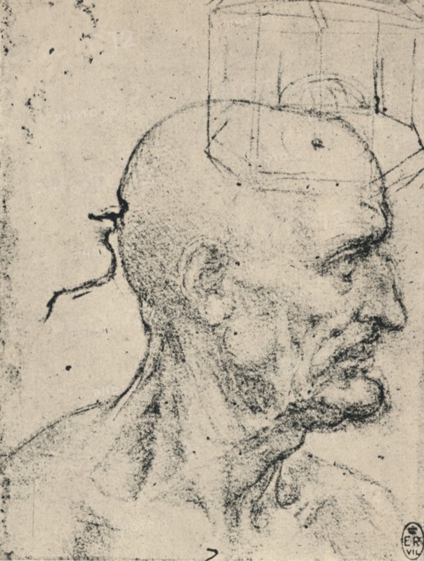 'Profile to Right of a Bald Man, c1480 (1945). Artist: Leonardo da Vinci.