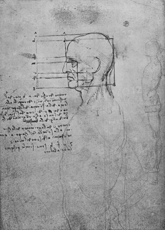 'Study of a Man's Nude Torso, the Head Squared for Proportion', c1480 (1945). Artist: Leonardo da Vinci.