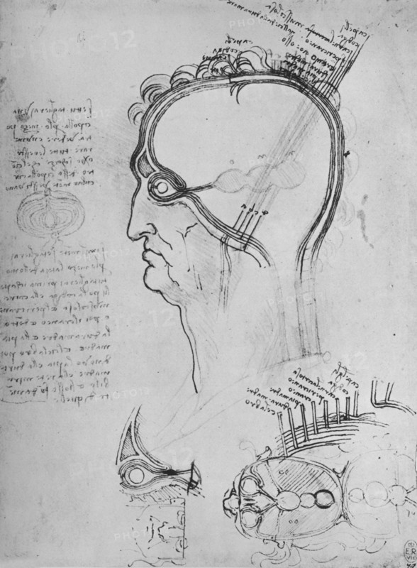 'Sections of a Man's Head Showing the Anatomy of the Eye, Etc.', c1480 (1945). Artist: Leonardo da Vinci.