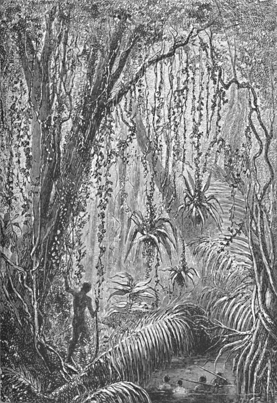 'Brazilian Forest', c1885 (1890). Artist: Robert Taylor Pritchett.