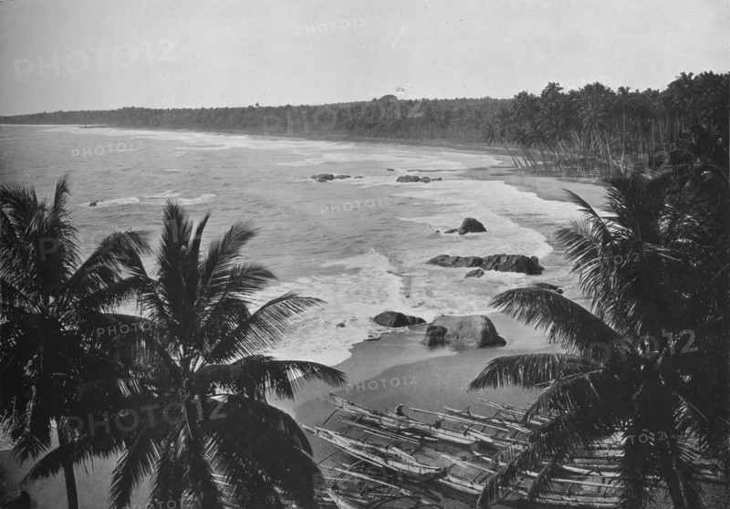 'View from Mount Lavinia, Showing Cocoanut Palms along Seashore', c1890, (1910). Artist: Alfred William Amandus Plate.