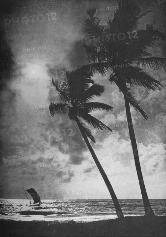 'The Palm Fringed Shore at Sunset', c1890, (1910). Artist: Alfred William Amandus Plate.
