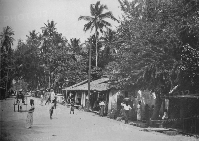 'Roadside Scene on the Way to Mt. Lavinia', c1890, (1910). Artist: Alfred William Amandus Plate.