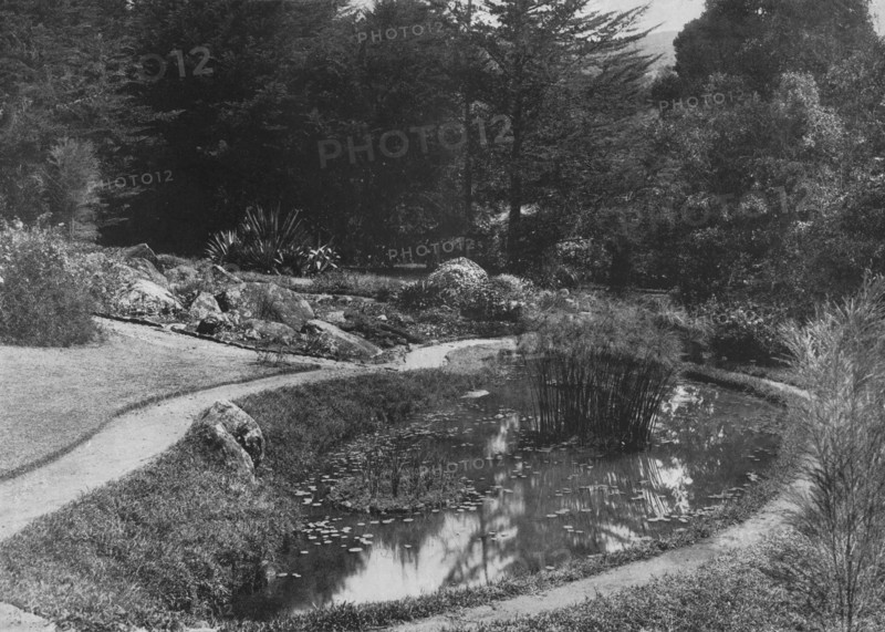 'The Rock Garden, Hakgalla Gardens, Nuwara Eliya', c1890, (1910). Artist: Alfred William Amandus Plate.