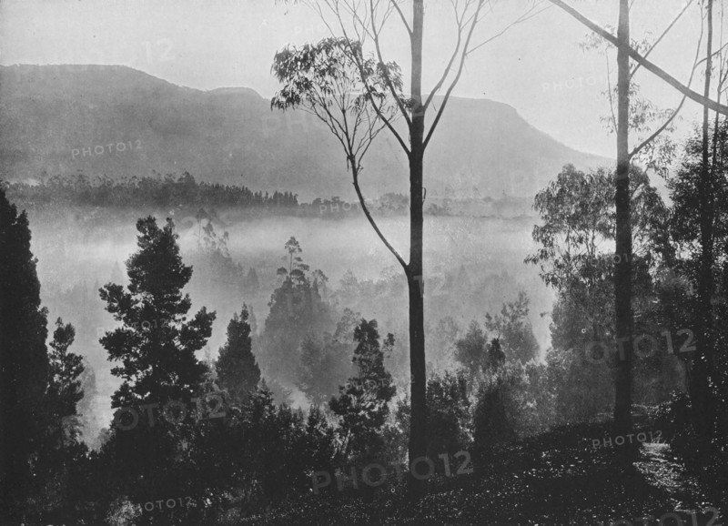 'The Early Morning Mist Rising at Nuwara Eliya', c1890, (1910). Artist: Alfred William Amandus Plate.