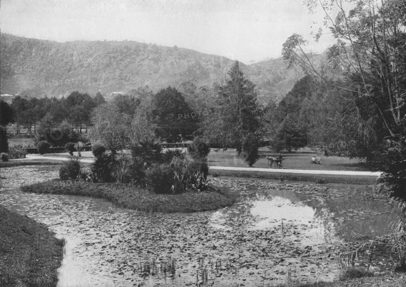 'Hakgalla Gardens from the Lotus Pond, Nuwara Eliya', c1890, (1910). Artist: Alfred William Amandus Plate.