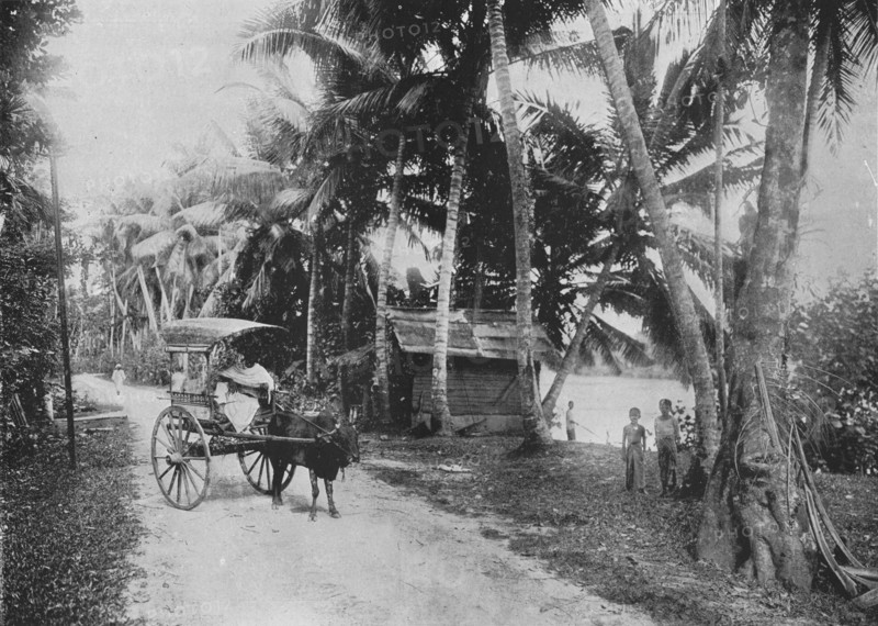 'Road Beside the Kelaniya River', c1890, (1910). Artist: Alfred William Amandus Plate.