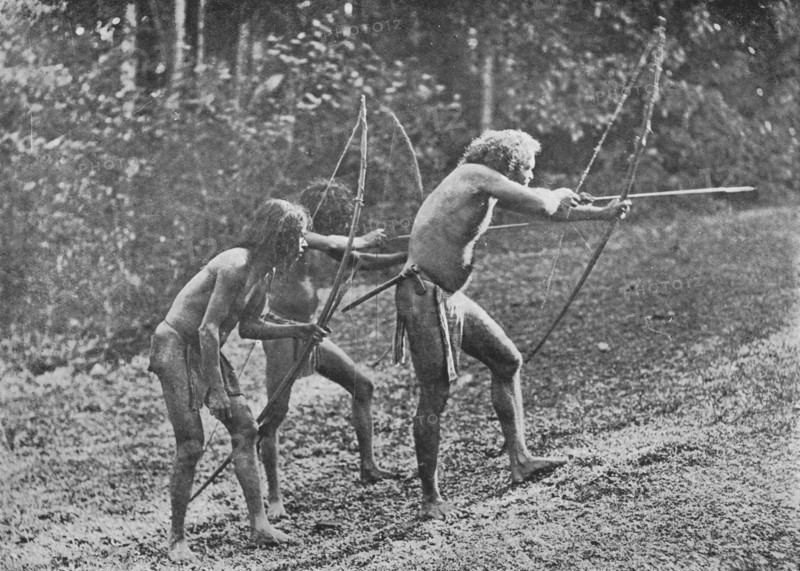 'Veddahs or Wild Men', c1890, (1910). Artist: Alfred William Amandus Plate.