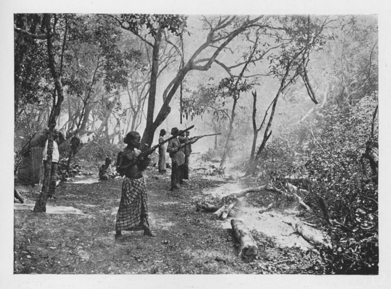 'Elephant Kraaling in Ceylon Towards the Stockade', c1890, (1910). Artist: Alfred William Amandus Plate.