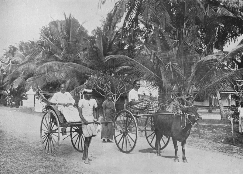 'Rickshaw and Racing Hackery', c1890, (1910). Artist: Alfred William Amandus Plate.