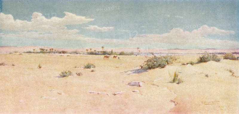 'Tel-El-Kebir', c1880, (1904). Artist: Robert George Talbot Kelly.