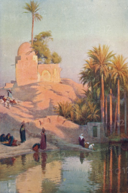 'In the Oasis of Fayum', c1880, (1904). Artist: Robert George Talbot Kelly.