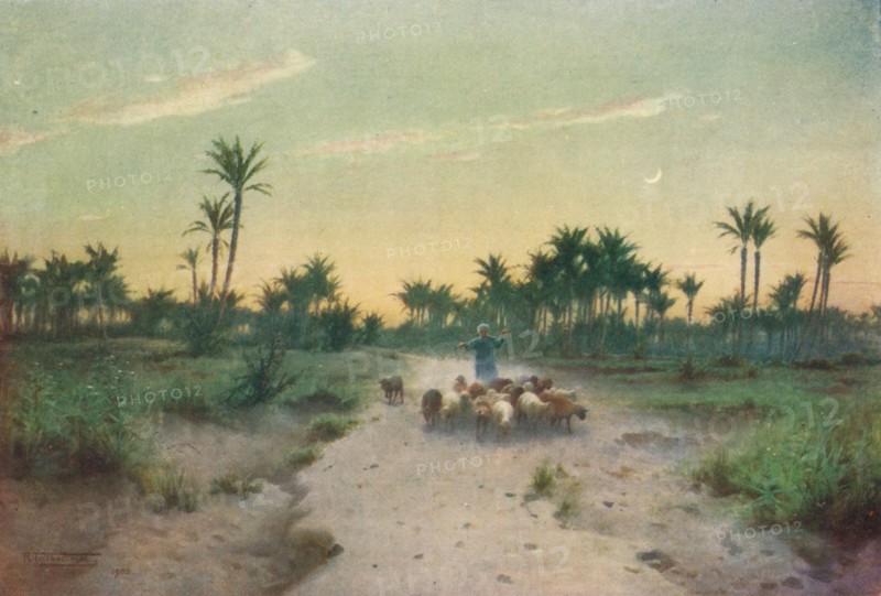 'In the Land of Goshen - Evening', c1880, (1904). Artist: Robert George Talbot Kelly.