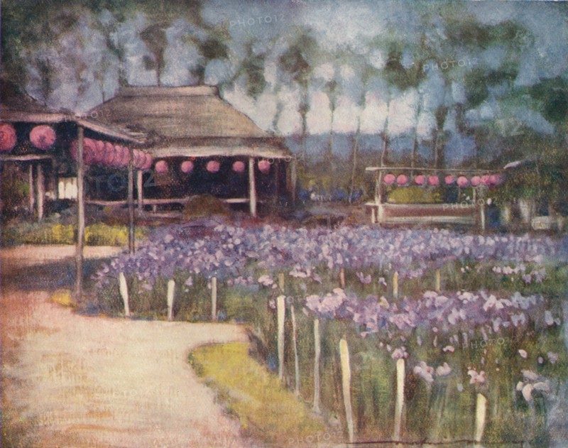 'Iris Garden', c1887, (1901). Artist: Mortimer L Menpes.