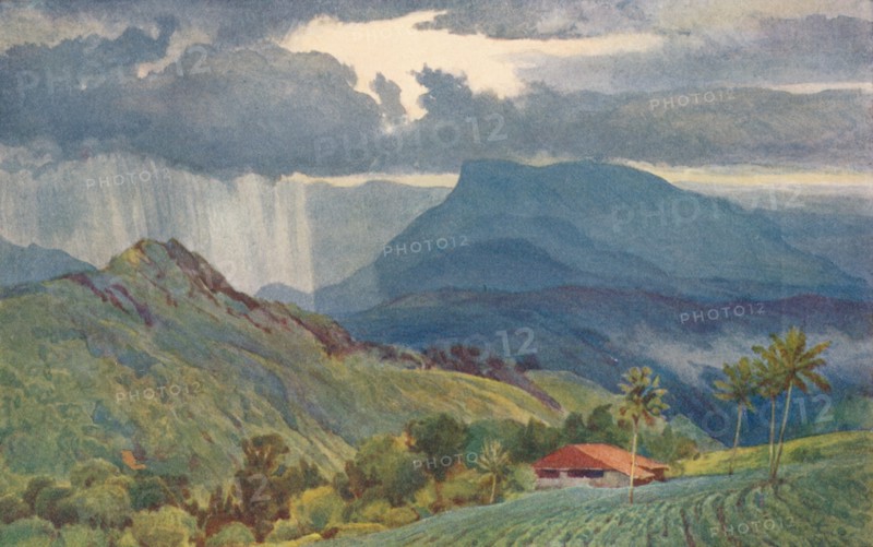 'A Tropical Shower', c1880 (1905). Creator: Alexander Henry Hallam Murray.