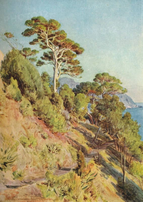 'In the Villa Piuma, Sestri Levante', c1910, (1912). Artist: Walter Frederick Roofe Tyndale.