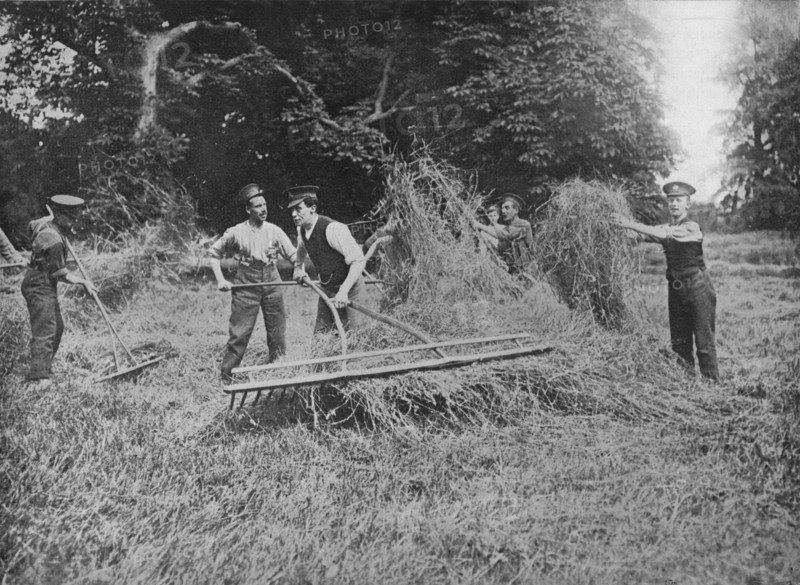 'Soldiers assisting the farmers by getting in the hay', 1915. Artist: Unknown.