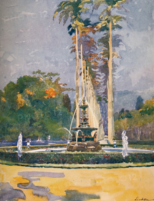 'A portion of the Avenue of Royal Palms, Botanical Gardens', 1914. Artist: Unknown.