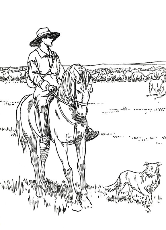 'A Sheep-Station in Australia', 1912. Artist: Charles Robinson.
