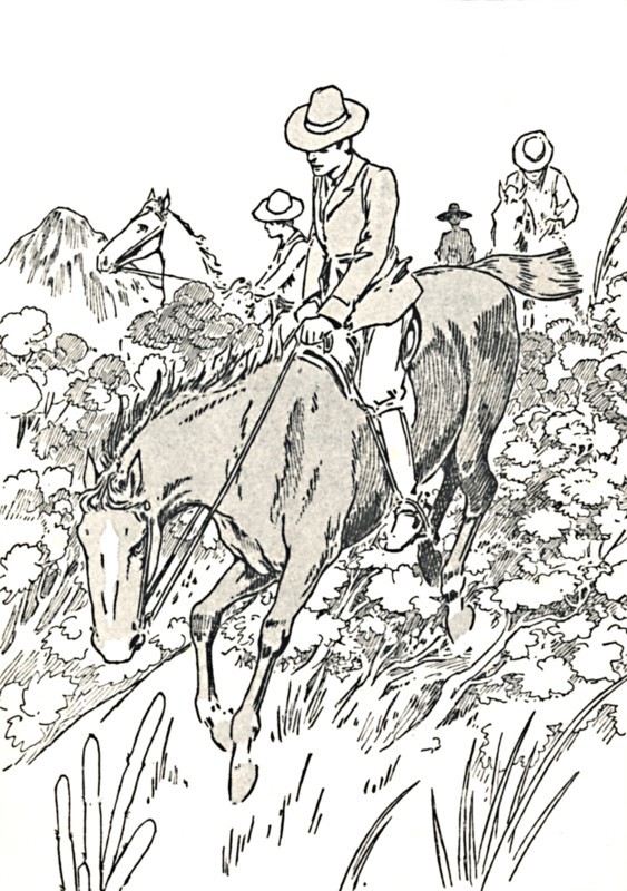 'Most of these animals are hunted', 1912. Artist: Charles Robinson.