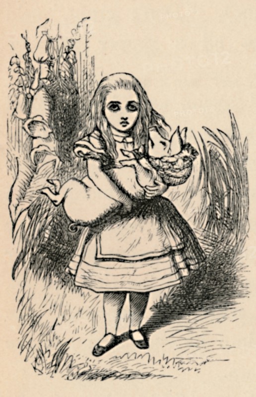 'Alice holding a pig in her arms', 1889. Artist: John Tenniel.