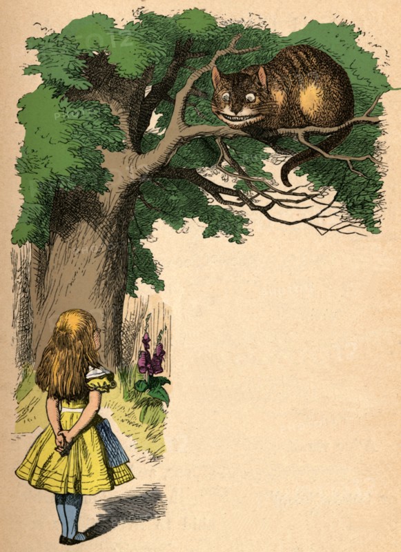 'Alice and the Cheshire Cat', 1889. Artist: John Tenniel.