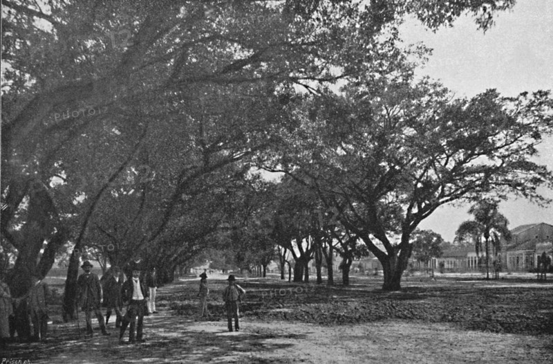 'Avenida de Tiradentes', 1895. Artist: Paulo Kowalsky.