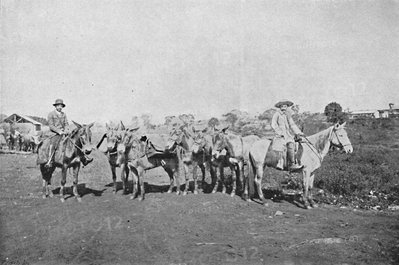 'Negociantes do Interior', (Traders of the Interior), 1895. Artist: Axel Frick.