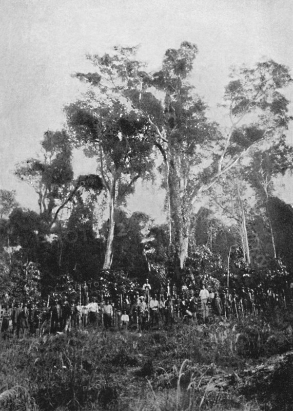 'Matta Virgem', 1895. Artist: Axel Frick.