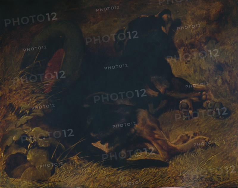 'Sleeping Dog', 1850, (1935). Creator: John Frederick Herring I.