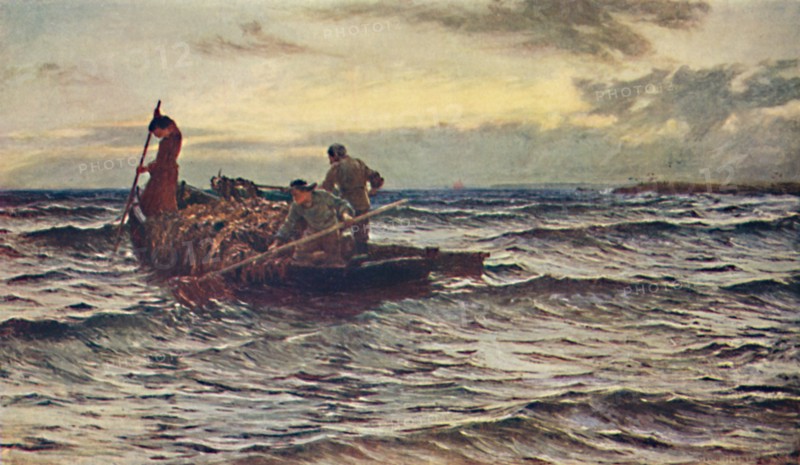'Their Only Harvest', c1875, (1904). Artist: Colin Hunter.