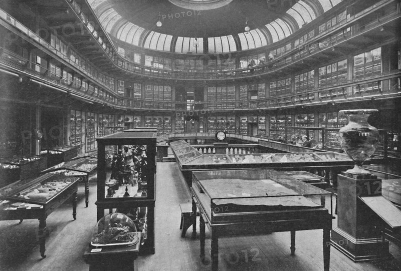 'Interior of the Geological Museum, Jermyn Street', 1904. Artist: Unknown.