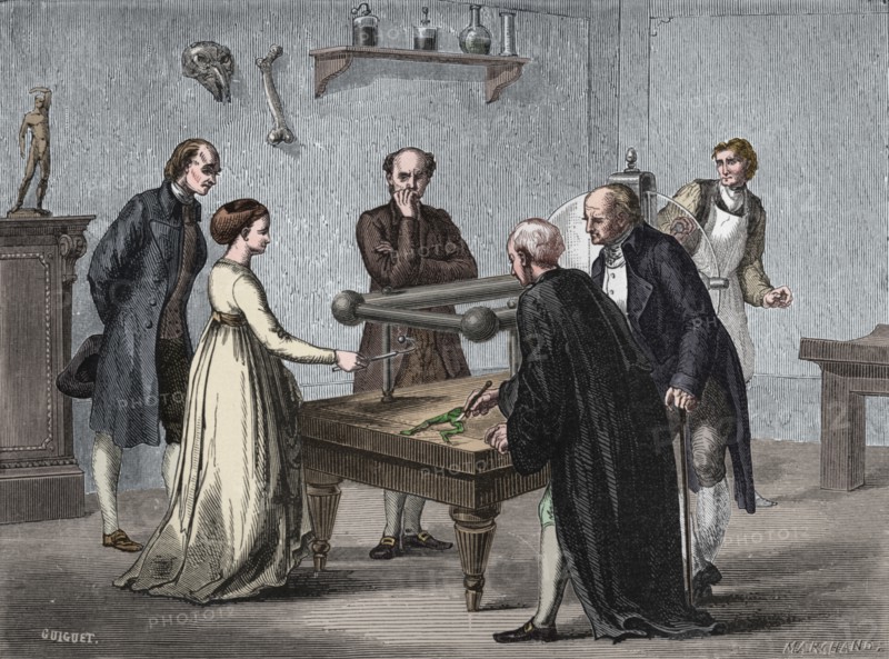 Galvani's discovery, 1780 (1894). Artist: Unknown.