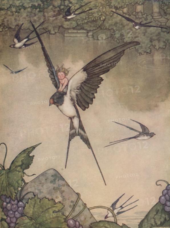 Yes I Will Go With Thee! Said Tommelise', c1930. Artist: W Heath Robinson.