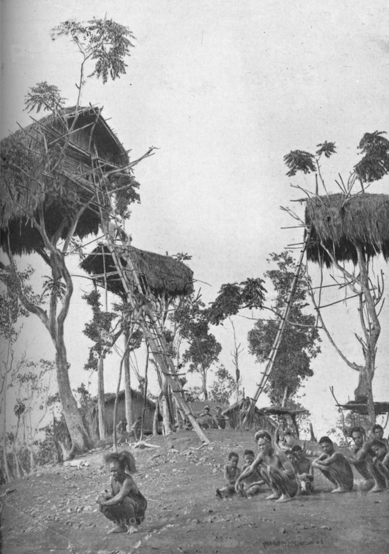 Dobos, tree houses for unmarried women in Melanesia, 1902. Artist: W Lindt.
