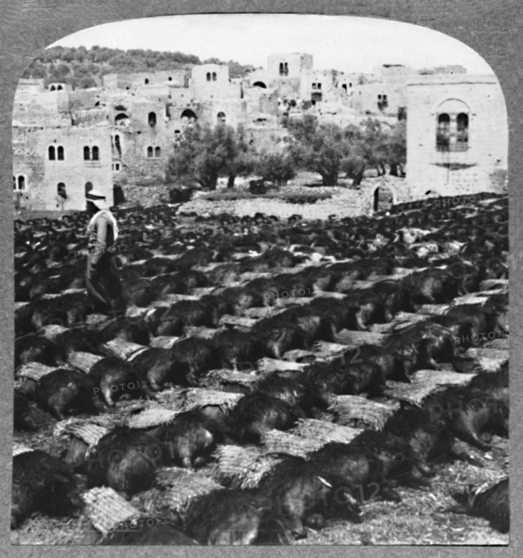 'Making wine bottles, Hebron', c1900. Artist: Unknown.