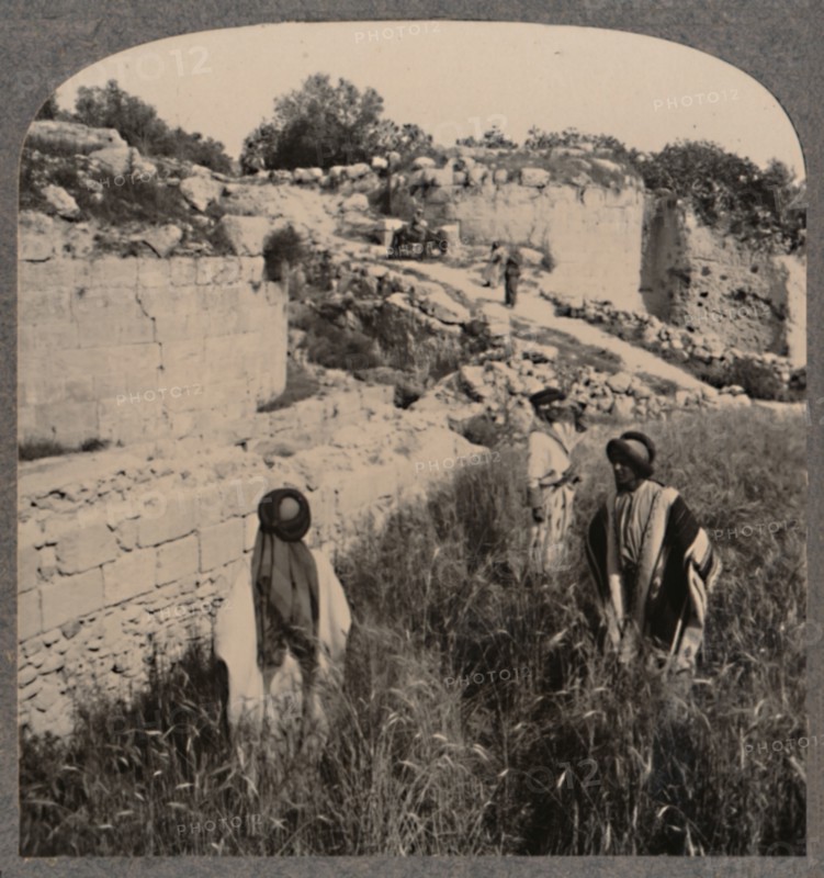 'Walls of Augustus, Samaria', c1900. Artist: Unknown.