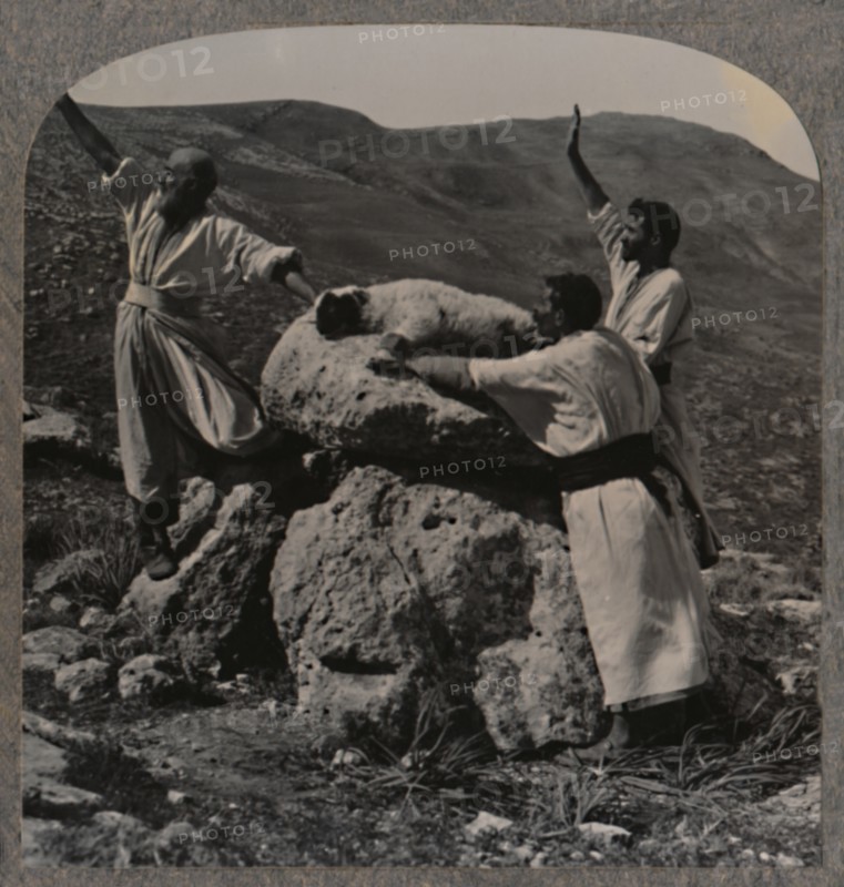 'Offering sacrifice of lamb on Altar, Moreh', c1900. Artist: Unknown.