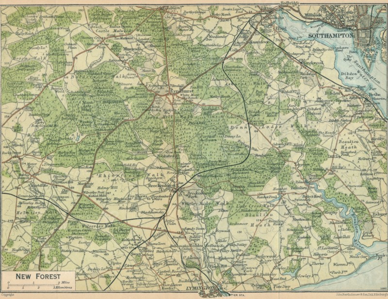 'New Forest', c20th Century. Artist: John Bartholomew.