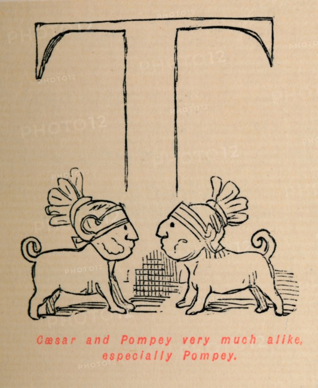 'Caesar and Pompey very much alike especially Pompey', 1852. Artist: John Leech.