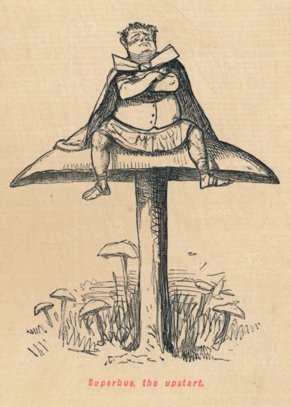 'Superbus, the upstart', 1852. Artist: John Leech.